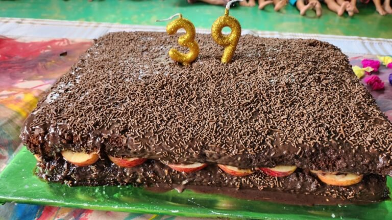 Aniversário do Jabuti