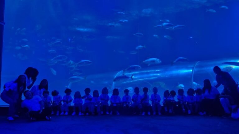 GRUPO 2 NO AQUARIO