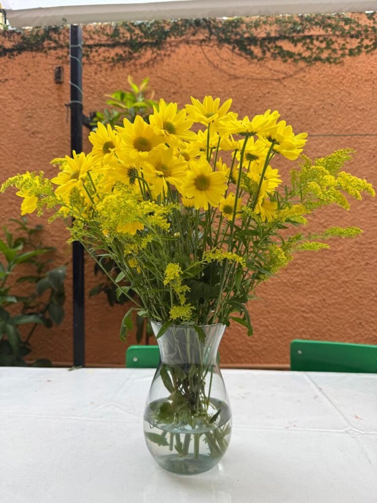 GRUPO 4: DA RÉGUA DOS NOMES À PINTURA DE OBSERVAÇÃO