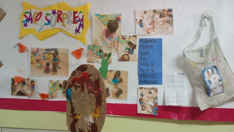 GRUPO 1 E O SACO SURPRESA