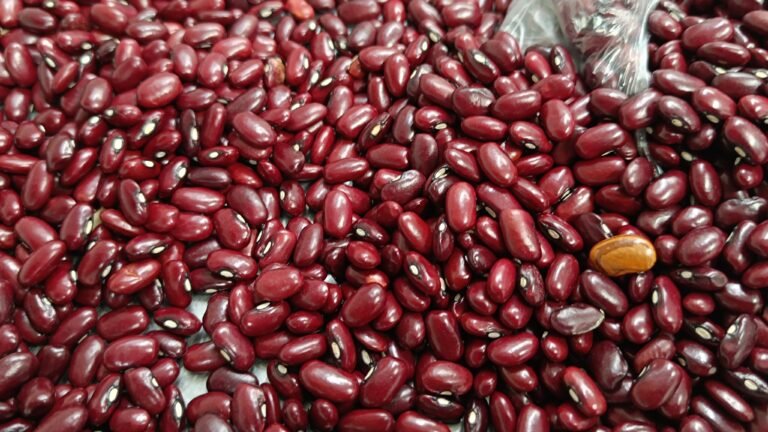 DICA NUTRICIONAL: FEIJÃO VERMELHO (AGROECOLÓGICO)